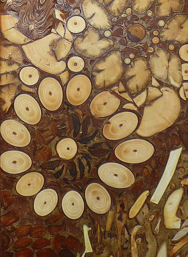 Particolare fiore da "Doppio Sogno"