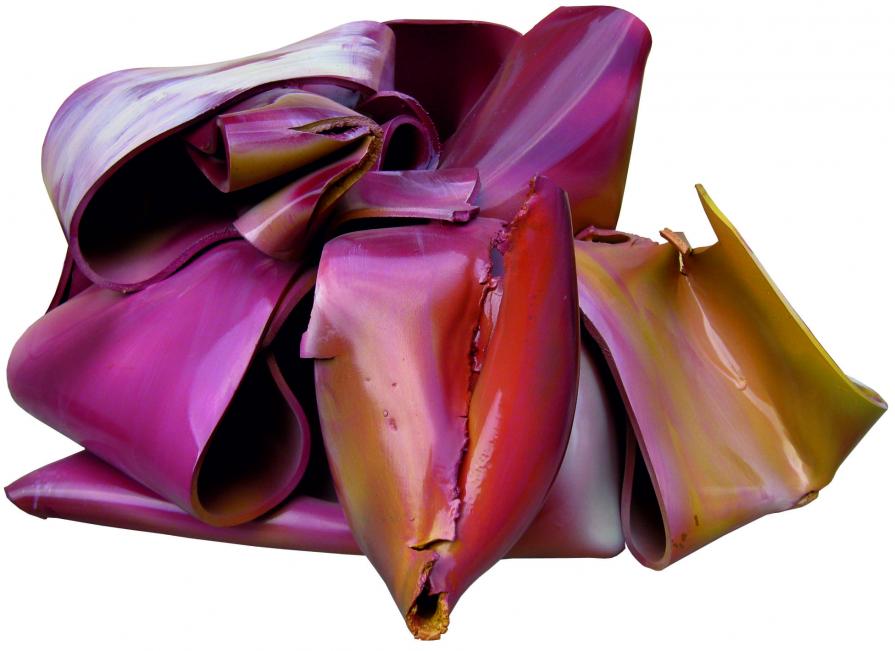 Rosa nel deserto anno 3000