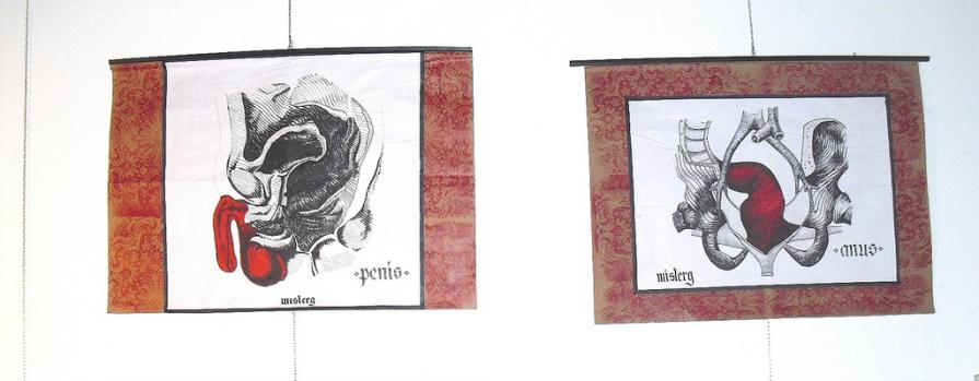 Use Your Head: a social experiment