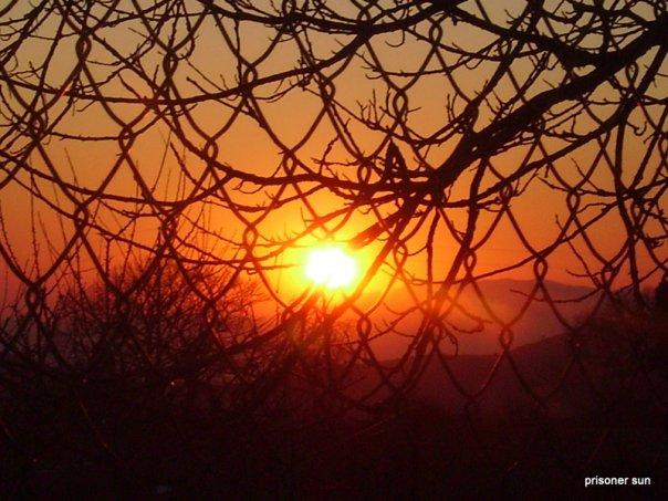 PRISONER SUN