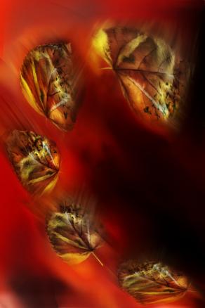 basta un soffio di vento, per un domani migliore