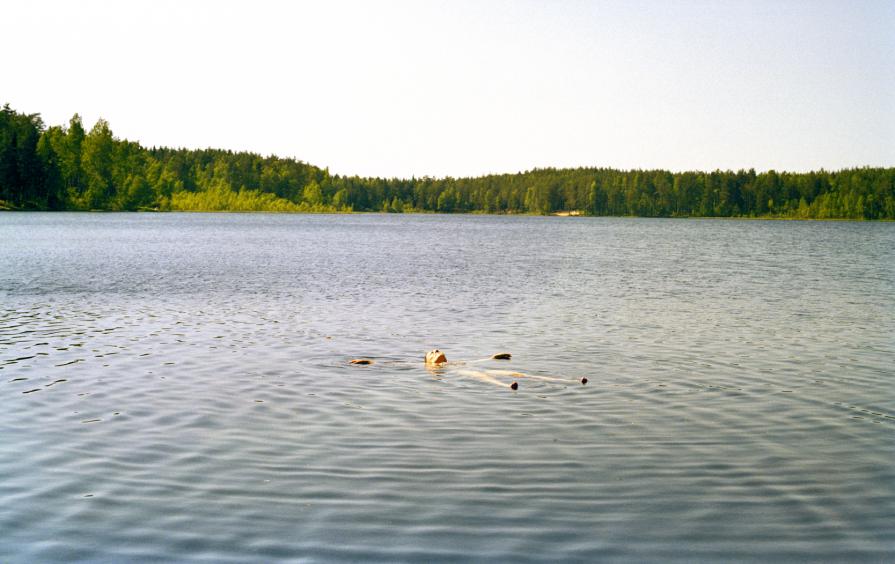 "My Russia" "My Russia"