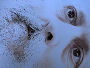 LALOBA AnnaCrescenzi&RenataPetti - Look at me