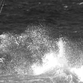 sulle ali dell'onda 2