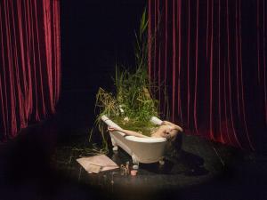 Anna Tihanyi - Character assassination