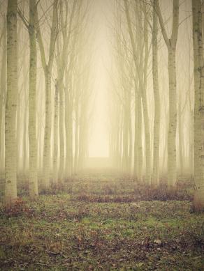 Interpretazione sul paesaggio