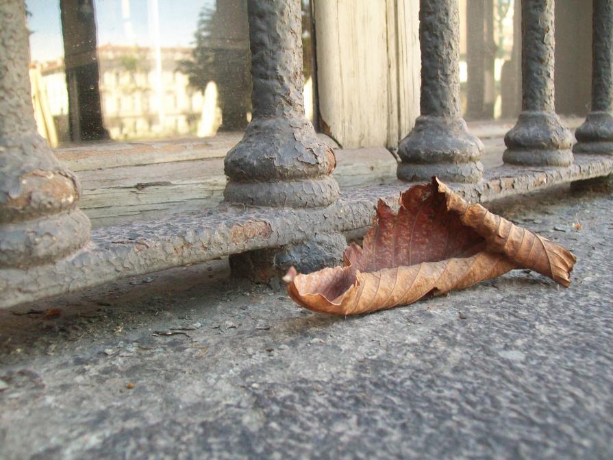 Torino, piazza Carlina