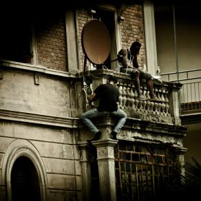 Grado Zero Assente, Viale Aldini 2015