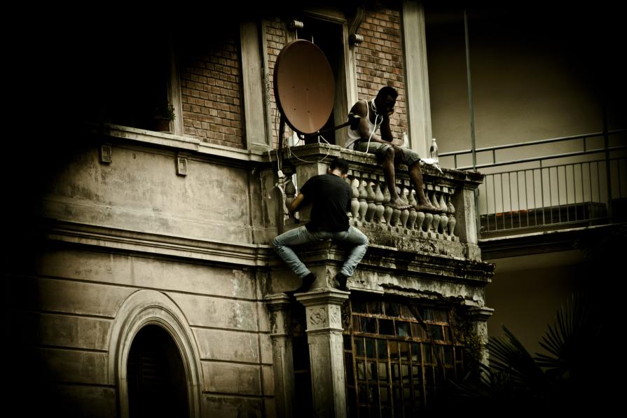 Grado Zero Assente, Viale Aldini 2015