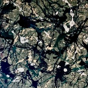 Livi 12- Al 51 - Fear looked in the face.