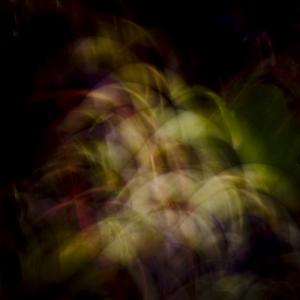 Wine, Technicolor Wine, Technicolor