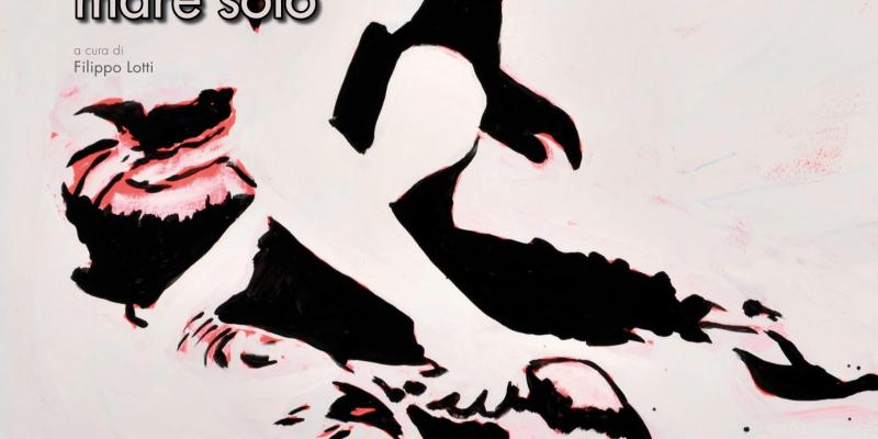 "Mare solo” - Maurizio Biagini