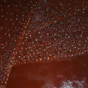 CINQUE SENSI E UN PO' DI PIU' - Personale di Siberiana Di Cocco CINQUE SENSI E UN PO' DI PIU' - Personale di Siberiana Di Cocco