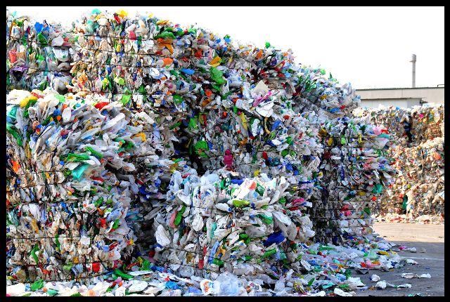 WORKING "OUT" PROGRESS