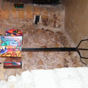 performance Rosa Didonna “Amor ch'a nullo amato, amar perdona