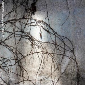 Under the Influence of Fluxus