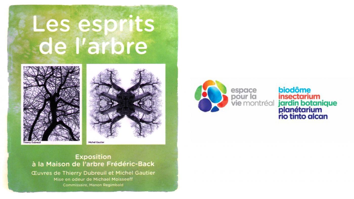 Spirits of the tree Spirits of the tree