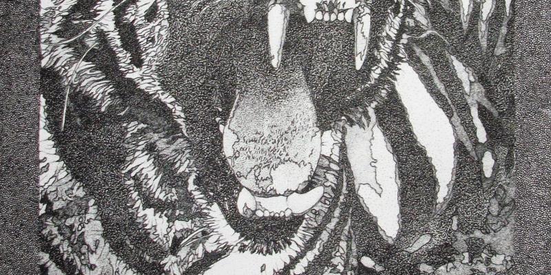 Luana Raia, back to New York Luana Raia, back to New York