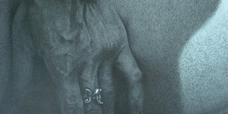 LA MATITA E LE EMOZIONI LA MATITA E LE EMOZIONI