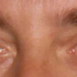 Conferenza: “Il fotografo e il collezionista tra diritto ed etica”