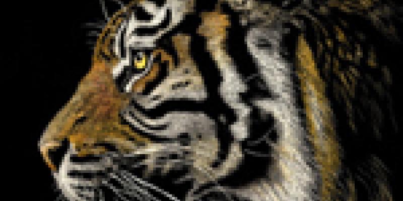 5th Annual “Nature” Art Exhibition Now Online Ready to View