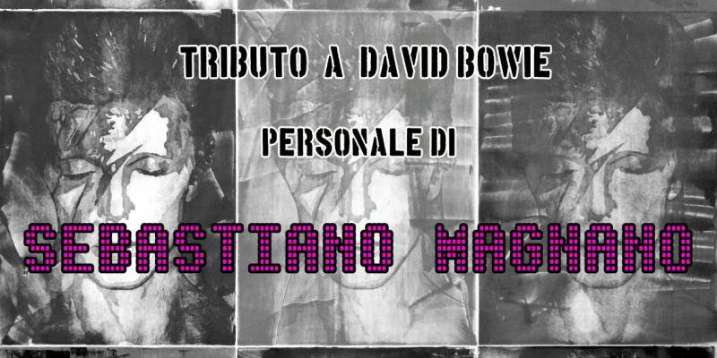 BowiefaceS BowiefaceS