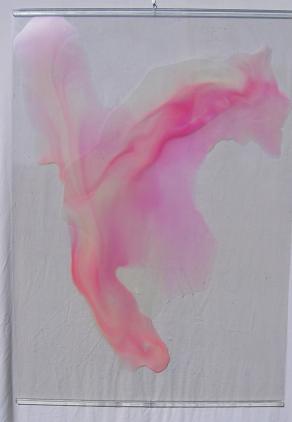 Pink pink (garofano rosa ) - lato b