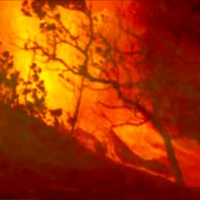 Goya meets Turner share a burning bush