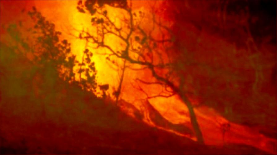 Goya meets Turner share a burning bush