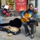 Le musi..chien !