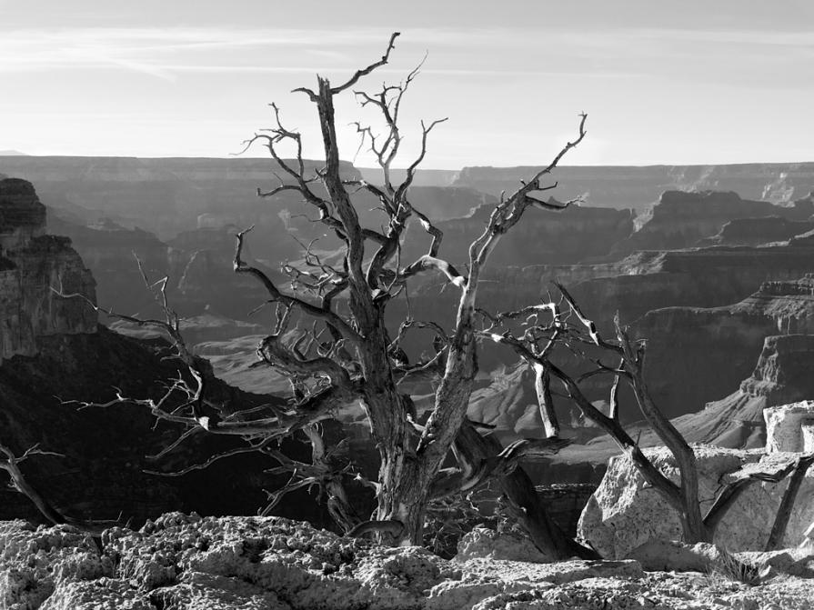 Clinging to the Edge of Grandure, No. 1, 2012. 