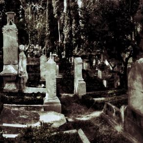 Iphone 5 serie - Cimitero acattolico, Roma