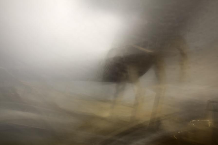 The Pencil of Nature / On the way XIV