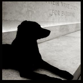 Fotografia Italiana | foto Augusto De Luca |018