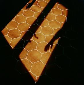 Polaroid sx 70 -- di Augusto De Luca. (0114)