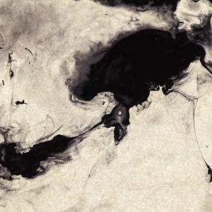 The Petri Dish Project - Colors, Things and Poiesis (3)