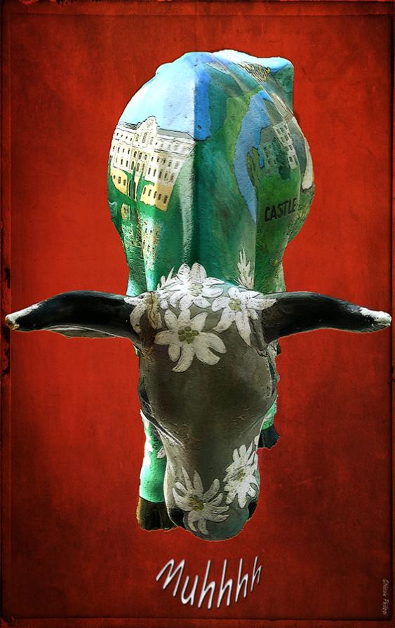 Greetings from Salzburg Greetings from Salzburg