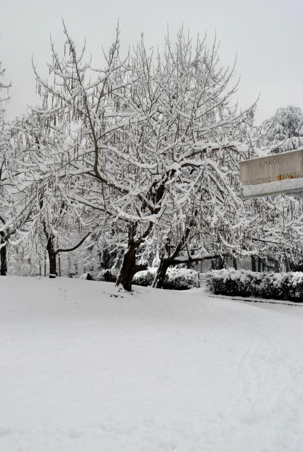 In attesa del Bianco