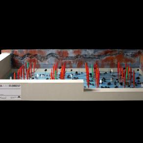 ¿Crecerán las flores?