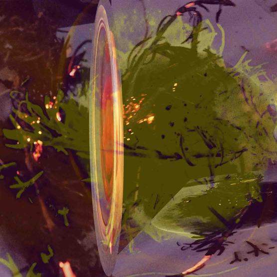 Life in Paradise, on Earth Dream, The long Legs of Love