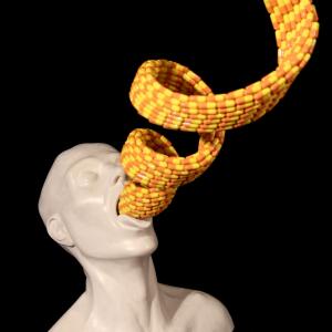 Health (a pills swallower)