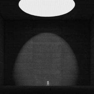 Humans in Their Defences