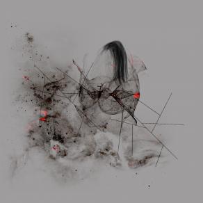  walk in the wild side