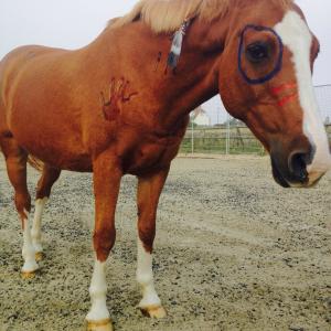 Native American War Paint 