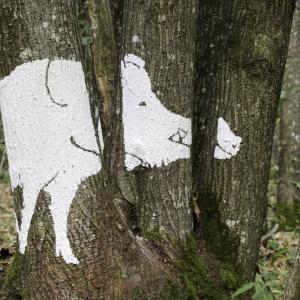 Wild boar side view 2