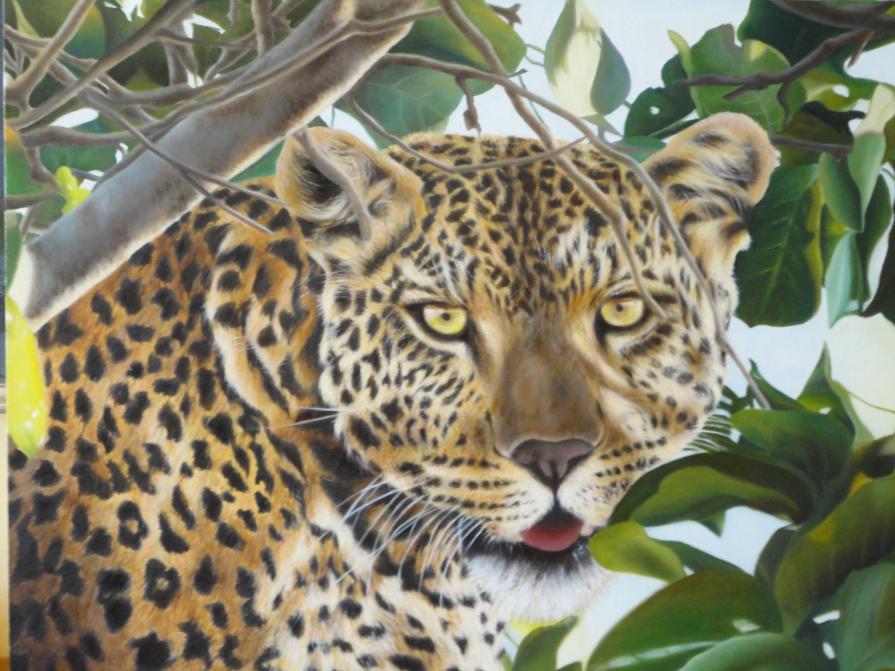 Incontro ravvicinato 