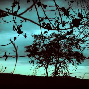 Consapevolezza magica  ( Magic awarness ) 