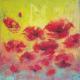Poppies