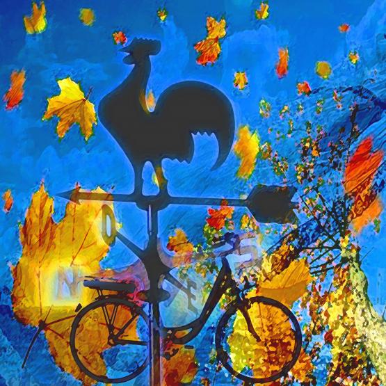 Il vento sulla pelle...!!!