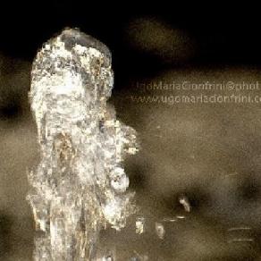 witch ... hydrocephalus